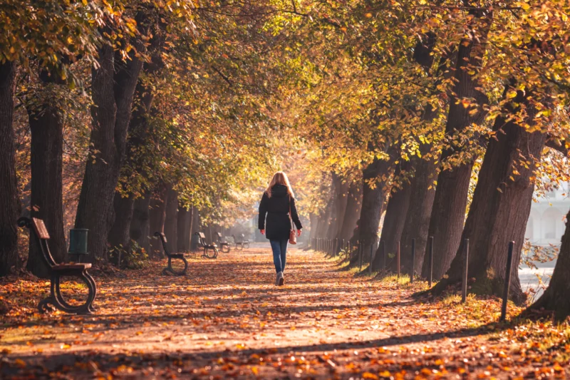 Woman walking along an autumn tree-lined path.